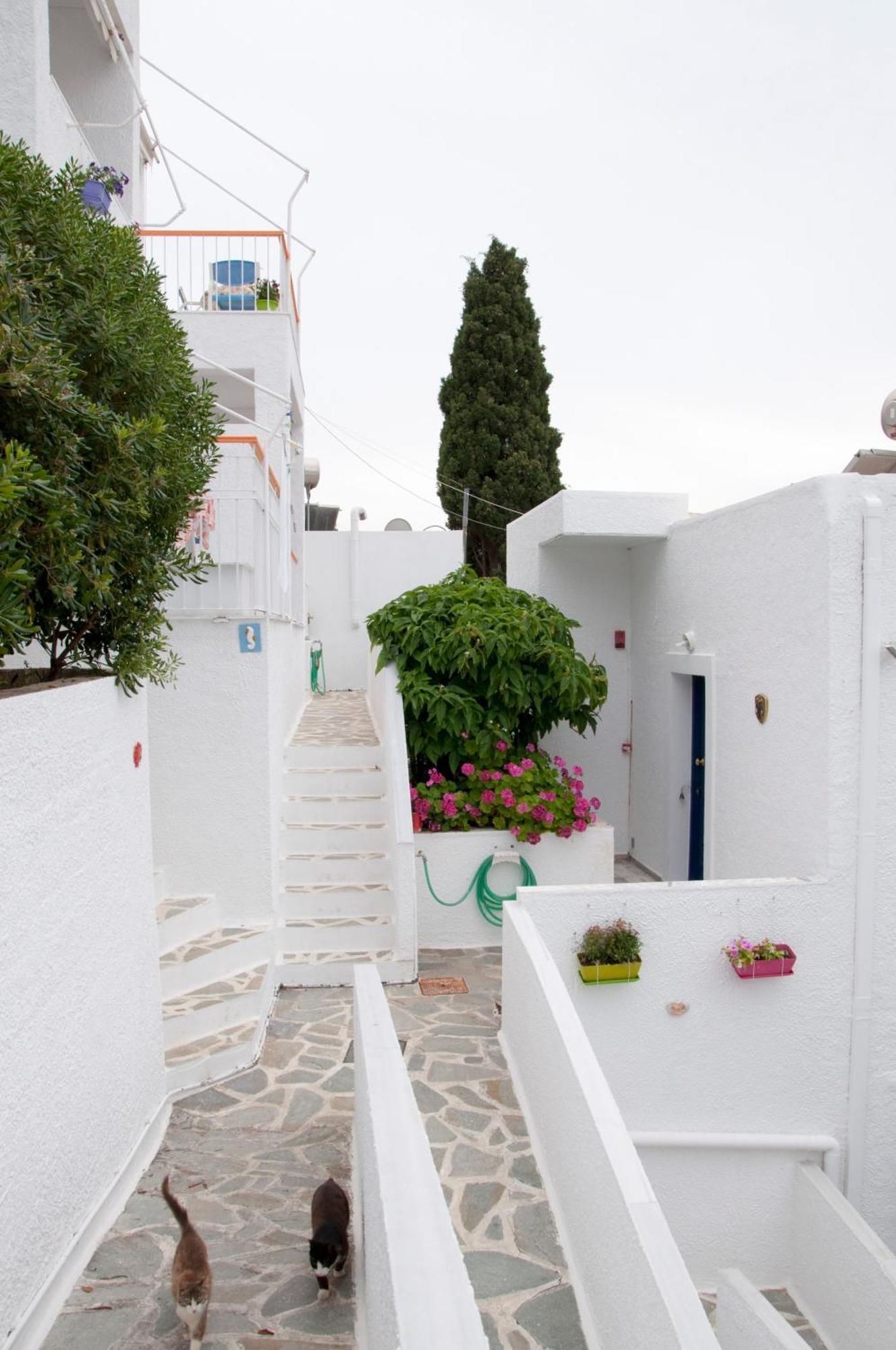 Tatsis Apartments Masouri Eksteriør bilde