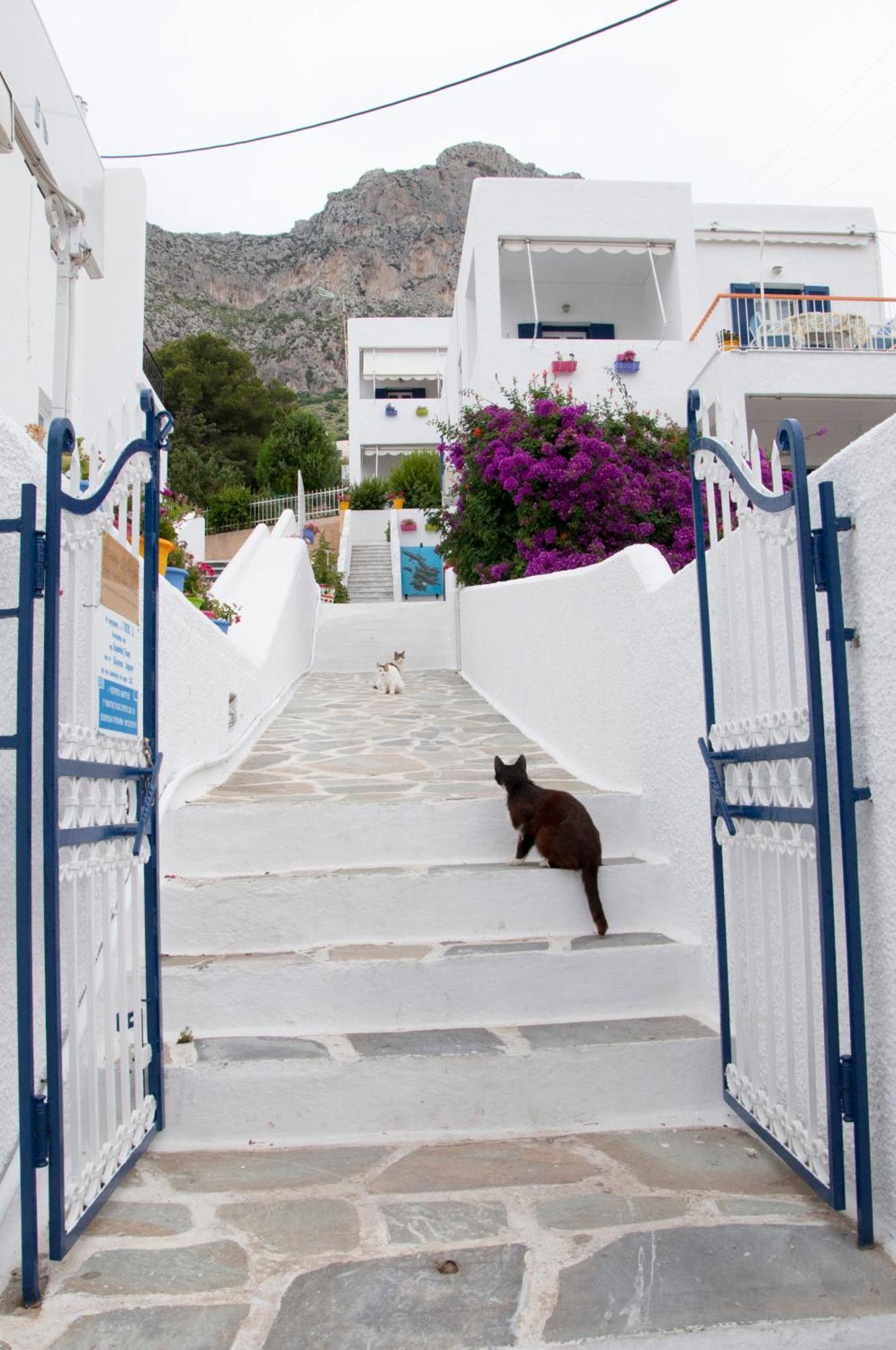 Tatsis Apartments Masouri Eksteriør bilde