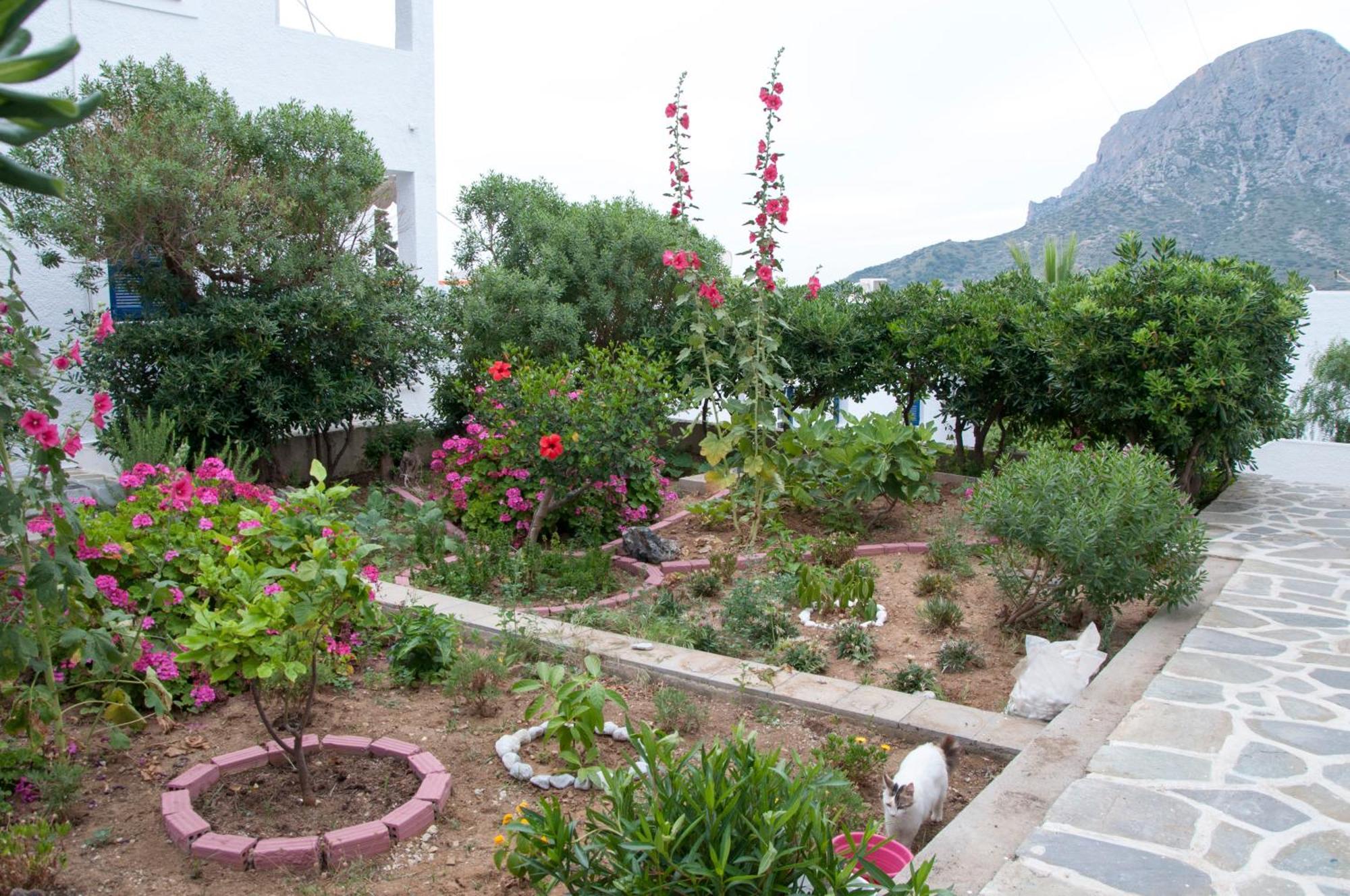 Tatsis Apartments Masouri Eksteriør bilde