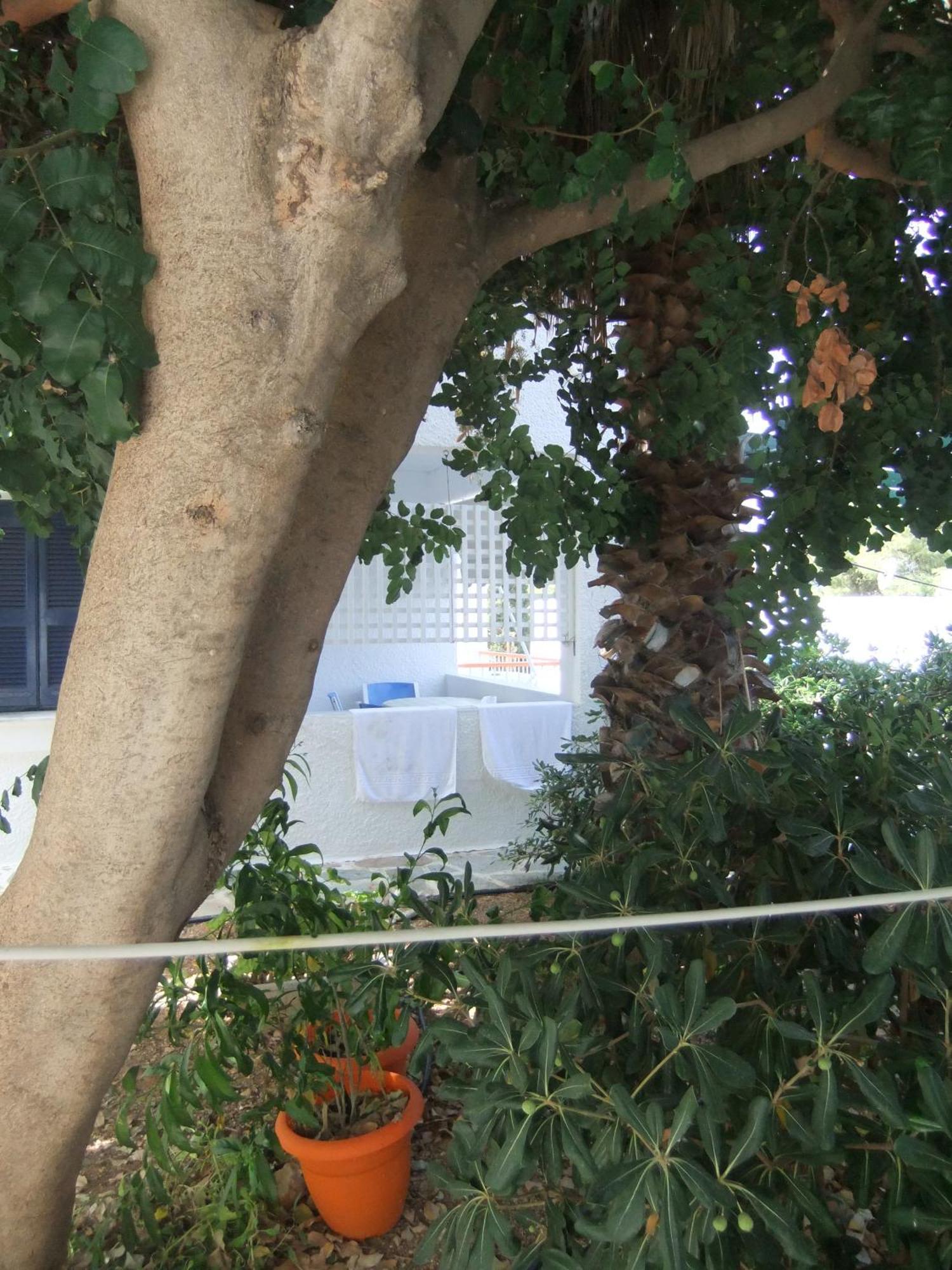 Tatsis Apartments Masouri Rom bilde